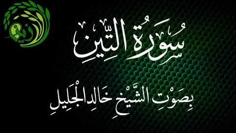سورة التين بصوت الشيخ خالد الجليل .. زين