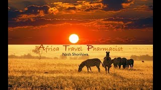 Malaria Prevention For Africa Travellers.