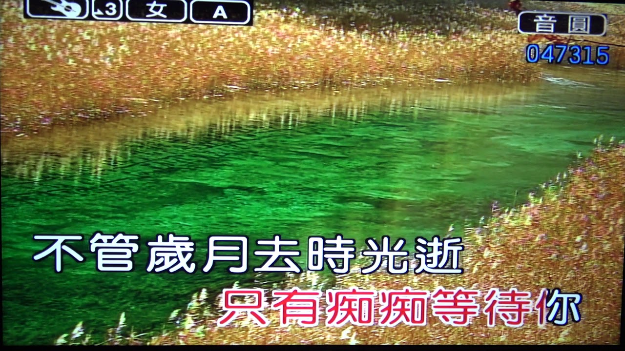 默默盼歸期-姚蘇蓉(女調)純練唱音樂-音圓曲號-47315