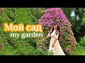Мой цветущий сад и огород! Красота своими руками! Zacvetet Марина Патрина