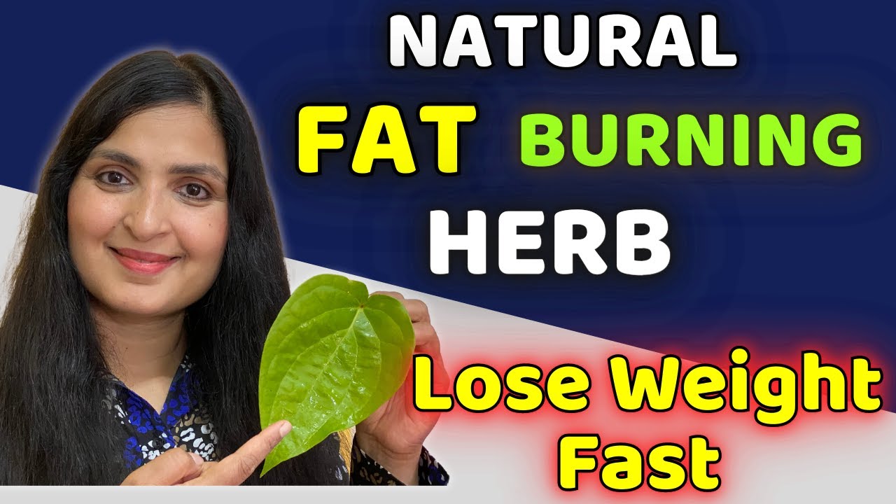 WEIGHT LOSS SECRET NO ONE TELLS YOU | Healthy Wight Loss | Weight Loss ...
