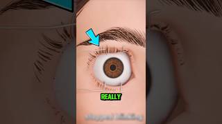 Famous What Happens If You STOP Blinking? 😳 Your Eyes Won’t Survive This! Wealth