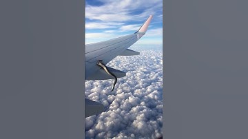 A snake of the wing of an airplane #snake #airplane #funny #trending #foryou #snake #snakevideo #fyp