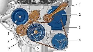 Снятие и замена ремня генератора Peugeot (308, 307, 406 и 408): ремонт и видео, как снять механизм