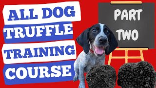 How to train your dog to find truffles tutorial - Part 2