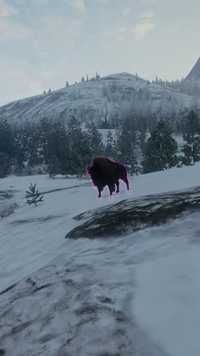 Aggressive Wood Bison On Askiy Ridge! The Hunter Call Of The Wild #cotw #thehunter