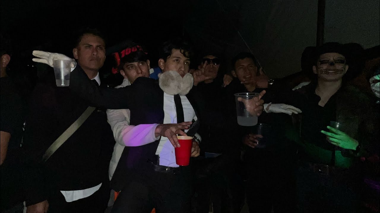 Halloween Animal Party 🎃