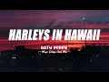Harleys In Hawaii - Katy Perry [Lyrics/Vietsub] - Pop Songs Mix