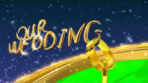 4K WEDDING INTRO 3D Sketch Green Screen Rings