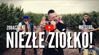 MR SEBII - NIEZŁE ZIÓŁKO / ZIOŁO (Official Video) Nowość Disco Polo
