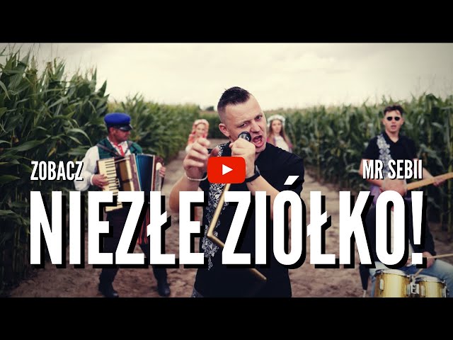 MR SEBII - Niezle Ziolko