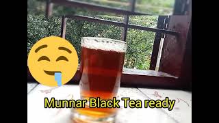 Let's Drink a Munnar Black Tea|In 30 seconds| screenshot 4