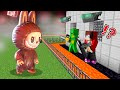 ラブブVSセキュリティハウス！マイッキー ぜんいち！マインクラフト