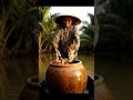 #shorts Vietnamese Grandma’s Fresh Spring Rolls Will Change Your Life #vietnam #ai #farming #4k