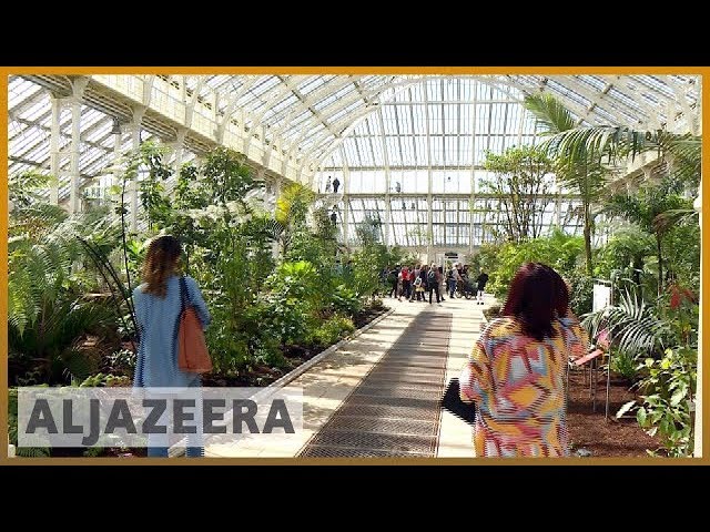 🇬🇧 إعادة افتتاح أكبر بيت زجاجي فيكتوري في العالم في لندن | الجزيرة الإنجليزية