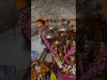 #music #ramsapir #ramdevji #👏🙏#viralvideo #reels #viralreel