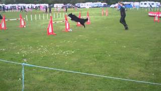 Grade 1-3 Jumping @ Adams