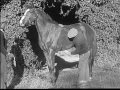 Horsepower (1937)