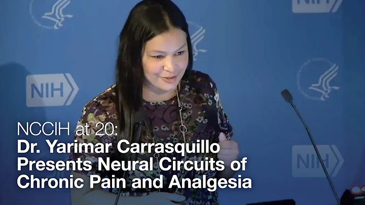 NCCIH at 20: Dr. Yarimar Carrasquillo Presents Neural Circuits of Chronic Pain and Analgesia