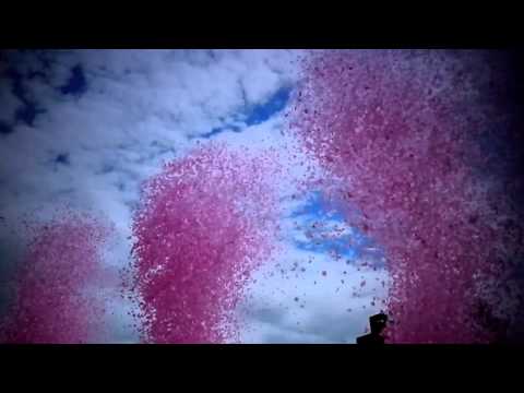アサヒスーパードライ「桜吹雪」篇