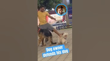 Dog owner defends from off leash dog #dogpsychology #dogtrainer #dogs