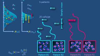 Uncertainty propagation c: Illusory sample size