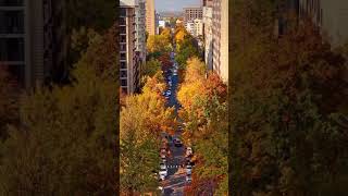 Bishkek Kyrgyzstan #travel#nature#love#video#trendingshorts#bishkek #bishkekkyrgyzstan #bishkeklife