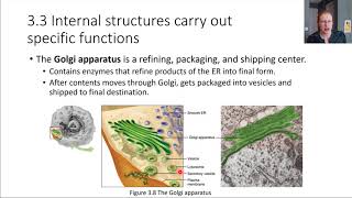 Ch03_3 Organelles part 2
