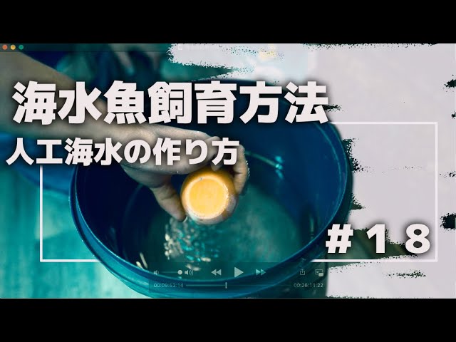 海水魚飼育方法18人工海水の作り方 Youtube