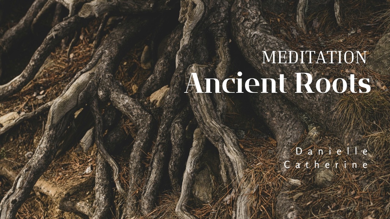Ancient Wise Roots A Guided Meditation and Circle Practice - YouTube
