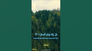 سورة القيامة من الشيخ أ.د ياسر الدوسري