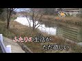 夢おんな ♪牧村三枝子 歌酒場A 6