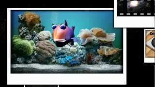 3d Demo Reel 2012