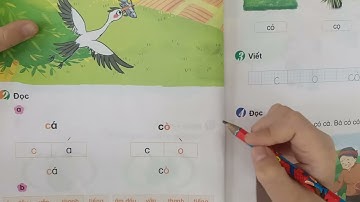 Bài 1B: c, o - Bộ cùng học để phát triển năng lực lớp 1