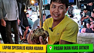 LAPAK SPESIALIS KURA KURA DIPASAR IKAN HIAS JATINEGARA