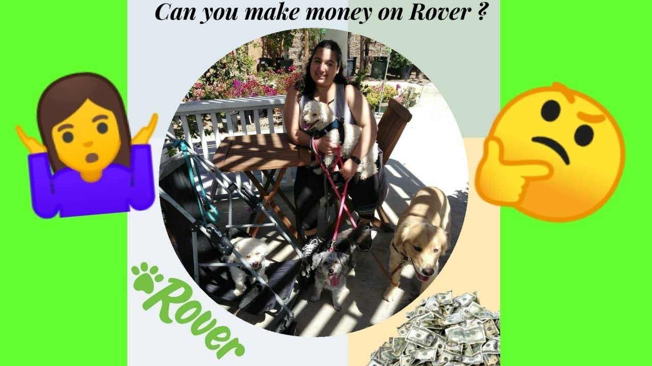 Rover Pet Sitting Review 2019 Can you make money on Rover YouTube