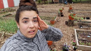 I'm scared to look after our April snow storm! Full April Garden Tour