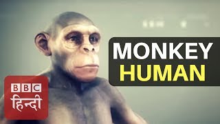 New Revelation about Human Evolution: BBC Hindi