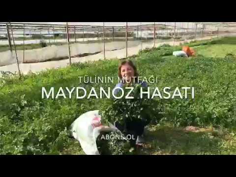 Video: Maydanoz Kostyumini Qanday Qilish Kerak