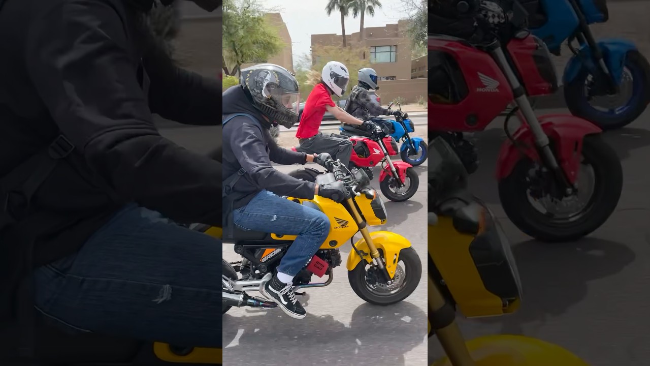 3rd Gen Honda Grom’s💛❤️💙 