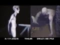 Freaky alien encounters that cant go unnoticed