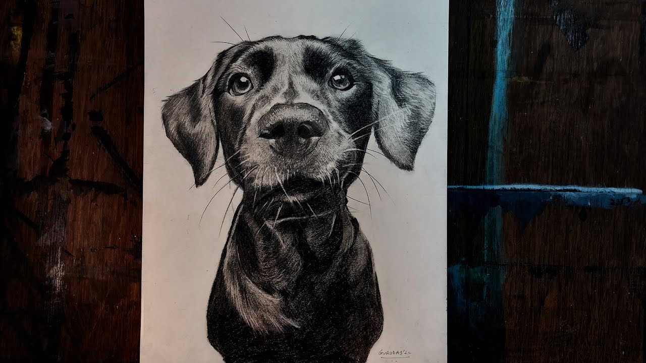 Trying Hyper Realistic Drawing First Time | Hyper Realistic Drawing ...