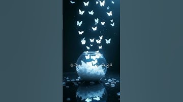 قران كريم #اكسبلور #المصحف #duet #الرحمن #القزابري #لايك #دويتو #حالات_واتس #الطحان #الظروف قران