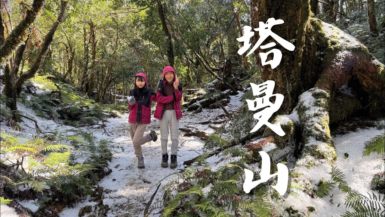 （記錄）塔曼山｜中級山｜新北第一高峰｜只有冰沒有雪｜白色塔曼山｜