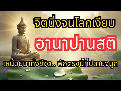 จบทุกความวุ่นวาย.. อานาปานสติ 9 บทเรียนเปลี่ยนชีวิต จิตนิ่งจนโลกเงียบ