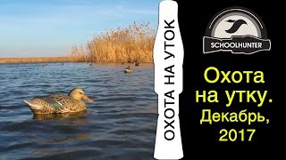 Охота на утку. Декабрь 2017