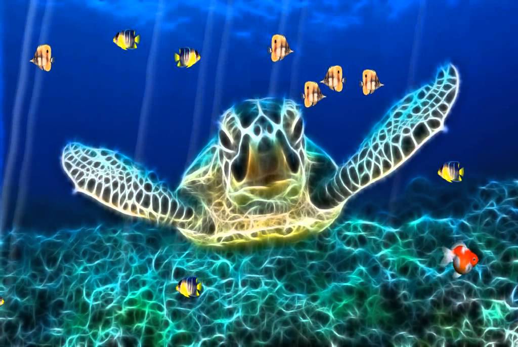 Ocean World Screensaver Http www screensavergift YouTube ocean-world-screensaver-http-www-screensavergift-youtube