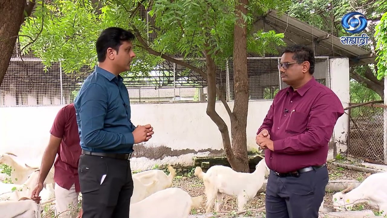 किफायतशीर शेळीपालन तंत्र | डॉ. रविंद्रनाथ निमसे | HD | Krushidarshan | कृषीदर्शन | 16.09.2025