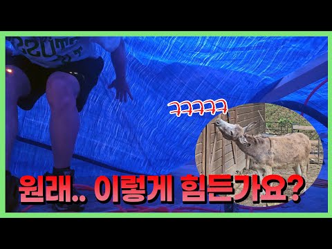 아주 돌아버리겠네요 😵‍💫