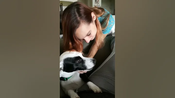 Yum Yum Dog